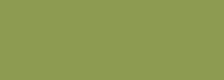 #8d9b51 Color Information