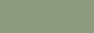#8d9d7c Color Information