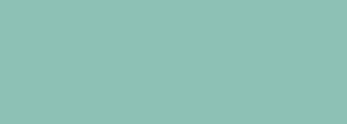 #8dc1b5 Color Information