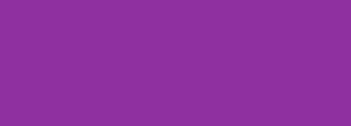 #8f30a0 Color Information