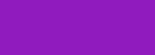 #901bbe Color Information