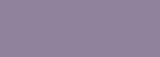 #90819c Color Information