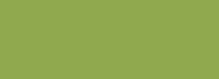 #90a94e Color Information