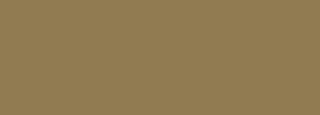 #917b51 Color Information