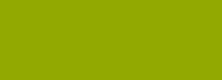 #92a901 Color Information