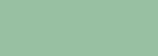 #98c0a2 Color Information