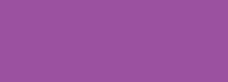 #9b51a0 Color Information