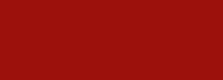 #9c110c Color Information