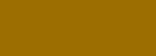 #9c6e01 Color Information