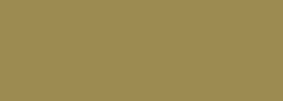 #9c8b51 Color Information