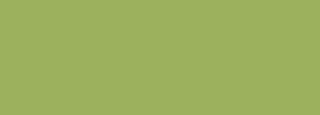 #9cb15d Color Information