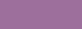 #9d6f9c Color Information