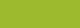 #9dba2e Color Information