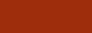 #9e2d0c Color Information