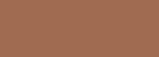 #a06b51 Color Information