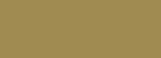 #a08b51 Color Information