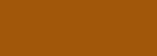#a1570a Color Information