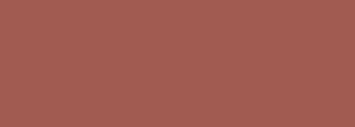 #a15b51 Color Information