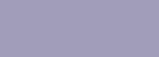 #a19dba Color Information