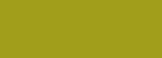 #a19e1b Color Information