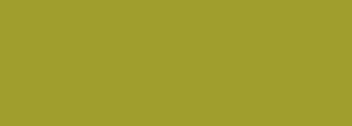 #a19f2c Color Information