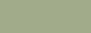 #a1ab8a Color Information
