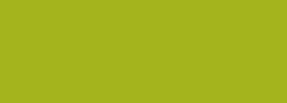 #a1b51a Color Information