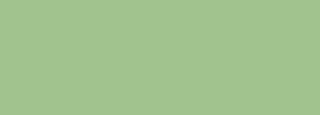#a1c38e Color Information