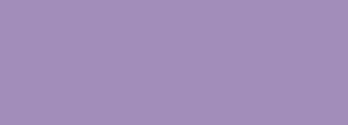 #a28dba Color Information