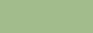 #a2bc8c Color Information