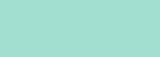 #a2dfd0 Color Information