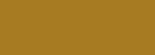 #a77c20 Color Information
