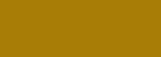 #a87d06 Color Information