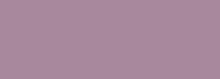 #a8889c Color Information