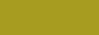 #a89c20 Color Information