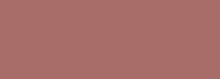 #a96d6a Color Information