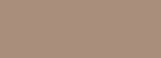 #a98e7c Color Information