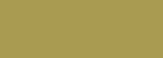 #a99b51 Color Information