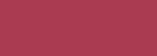 #aa3b51 Color Information
