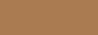#aa7b51 Color Information