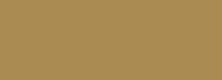#aa8b51 Color Information