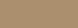 #ab8f6e Color Information