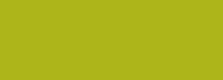 #adb51a Color Information