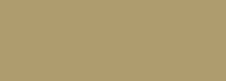 #ae9c6e Color Information