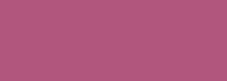 #b1567d Color Information