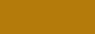 #b47b0b Color Information
