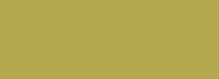 #b4a94e Color Information