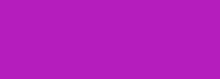 #b51dbc Color Information