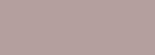 #b59f9e Color Information