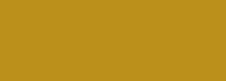 #bb901b Color Information